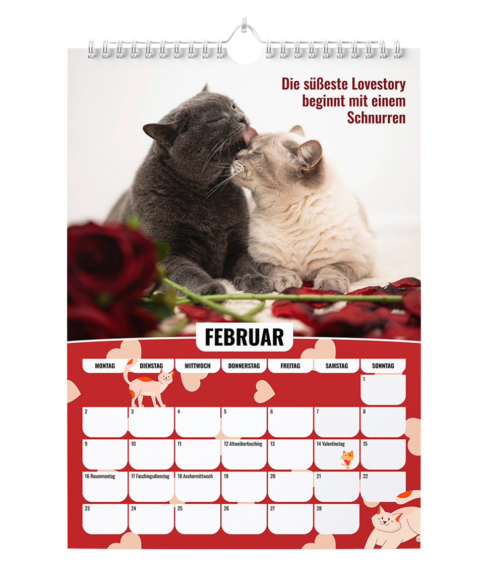 Sinas Color Cats - Ein Jahr voller Farben, Freude und Fantasie