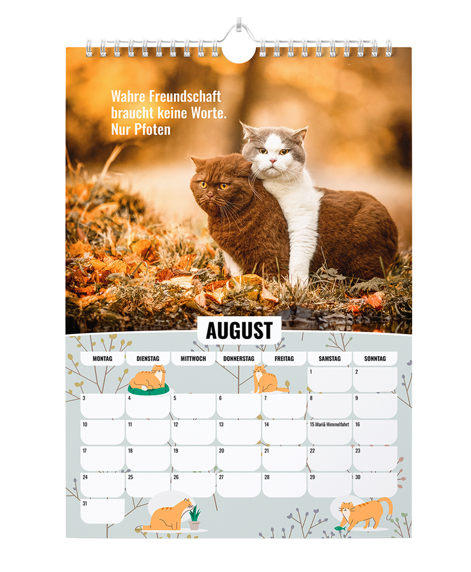 Sinas Color Cats - Ein Jahr voller Farben, Freude und Fantasie