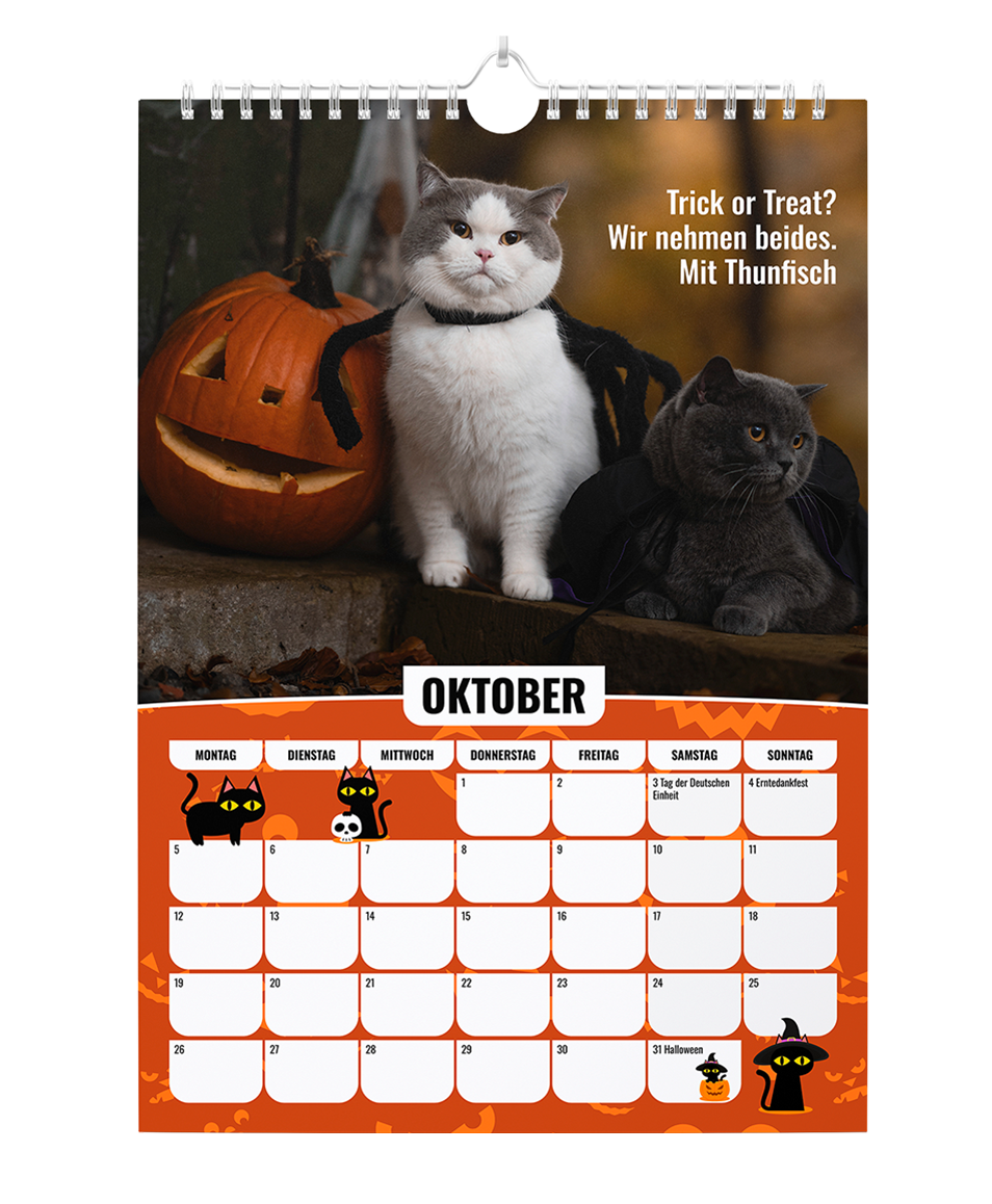 Sinas Color Cats - Ein Jahr voller Farben, Freude und Fantasie