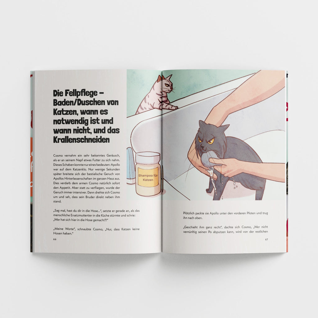 Total verkatert! Katzen-Knigge mit Apollo & Cosmo