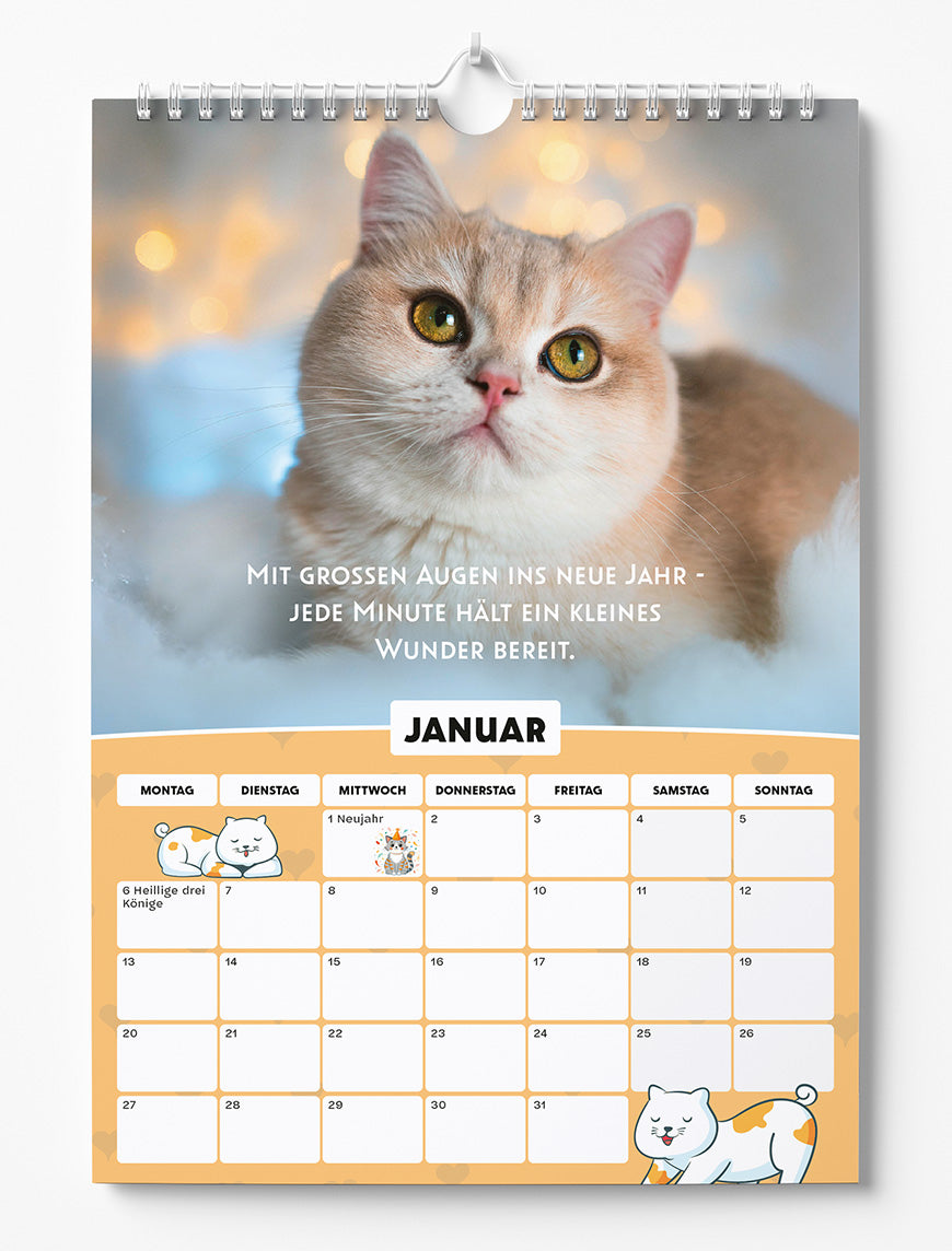 Sinas Color Cats - Ein Jahr voller Pfoten, Flausch und Funkeln