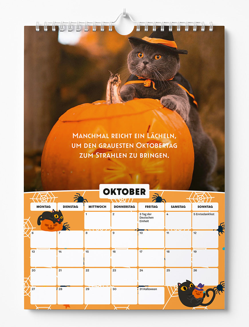 Sinas Color Cats - Ein Jahr voller Pfoten, Flausch und Funkeln