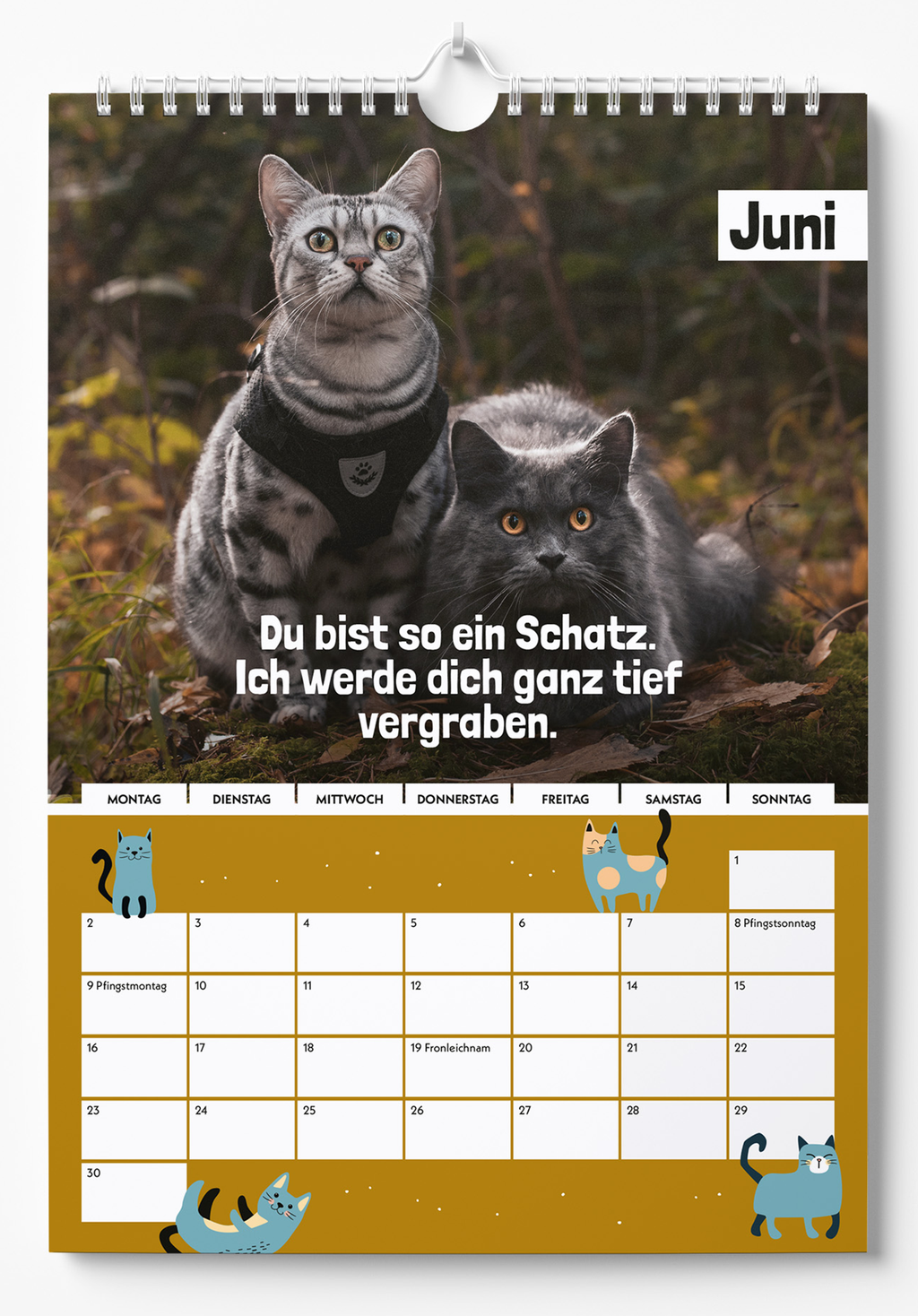 Apollo & Cosmo - Kein Kalender für Allergiker
