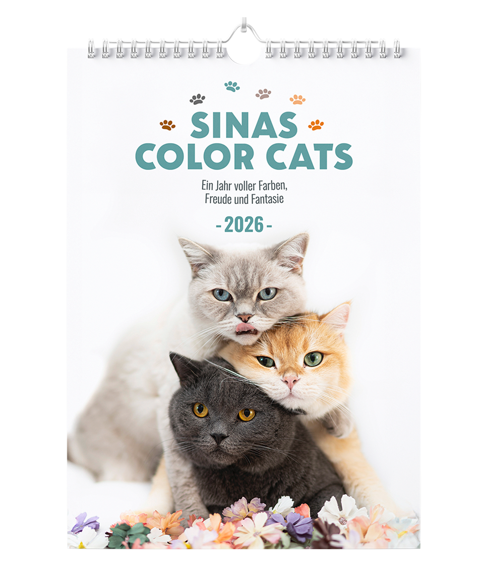 Sinas Color Cats - Ein Jahr voller Farben, Freude und Fantasie