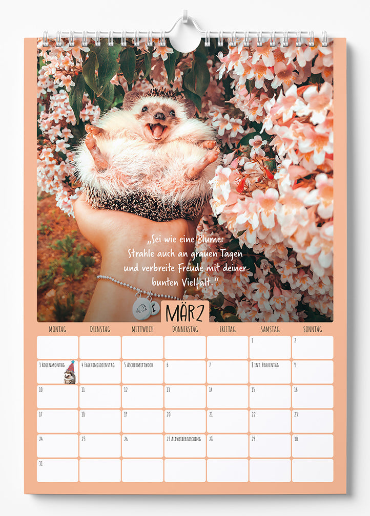 Mr.Pokee - Ein Jahr voll Sonnenschein