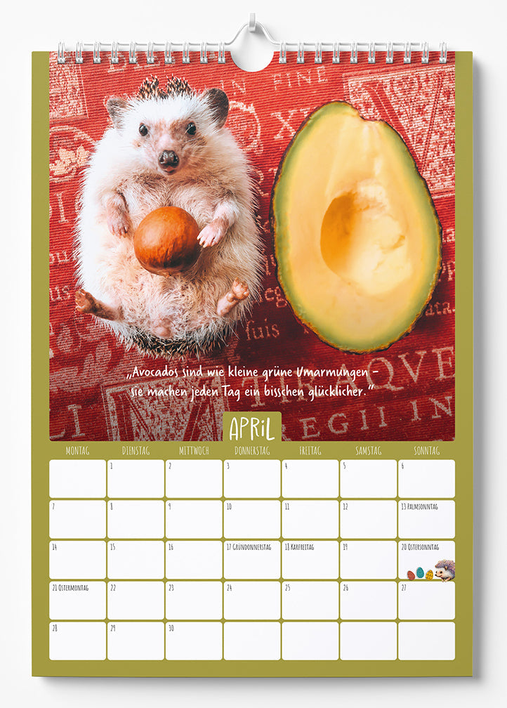 Mr.Pokee - Ein Jahr voll Sonnenschein