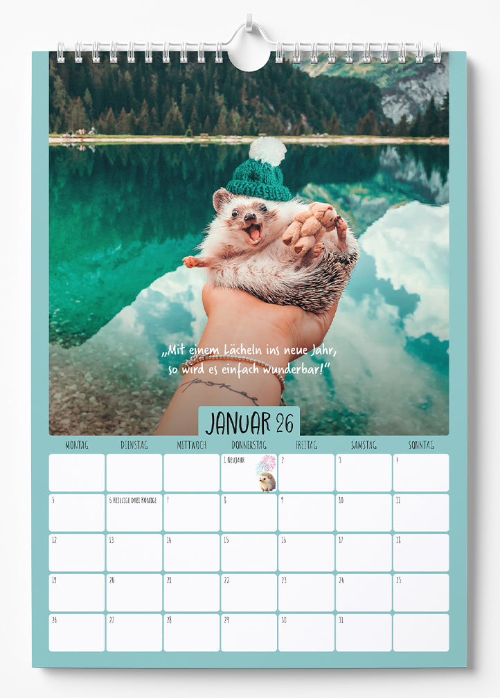 Mr.Pokee - Ein Jahr voll Sonnenschein