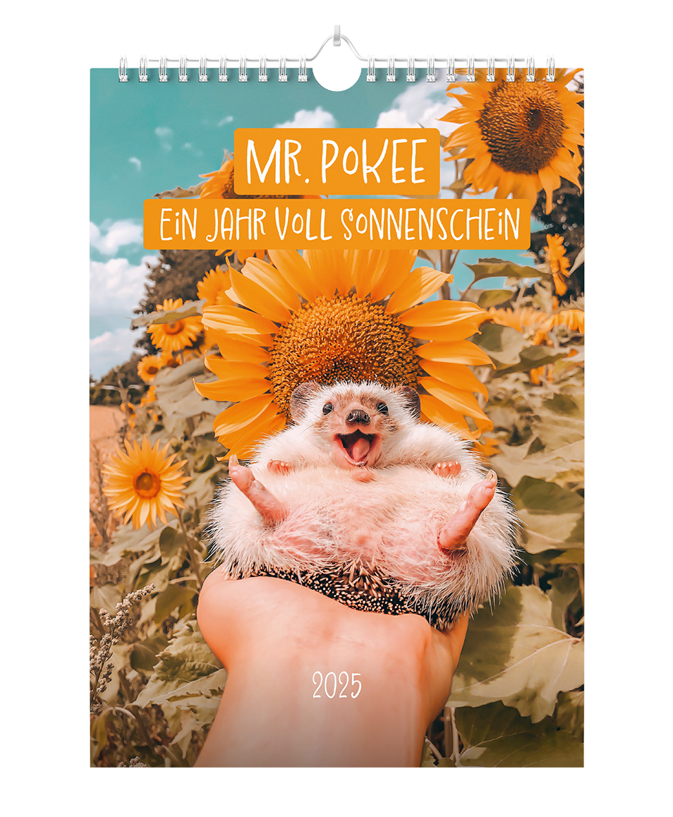 Mr.Pokee - Ein Jahr voll Sonnenschein