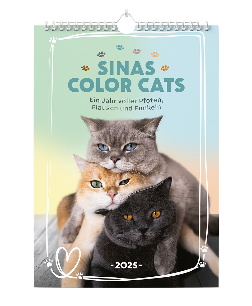 Sinas Color Cats - Ein Jahr voller Pfoten, Flausch und Funkeln